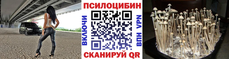 дарнет шоп  Звенигово  Псилоцибиновые грибы MAGIC MUSHROOMS 